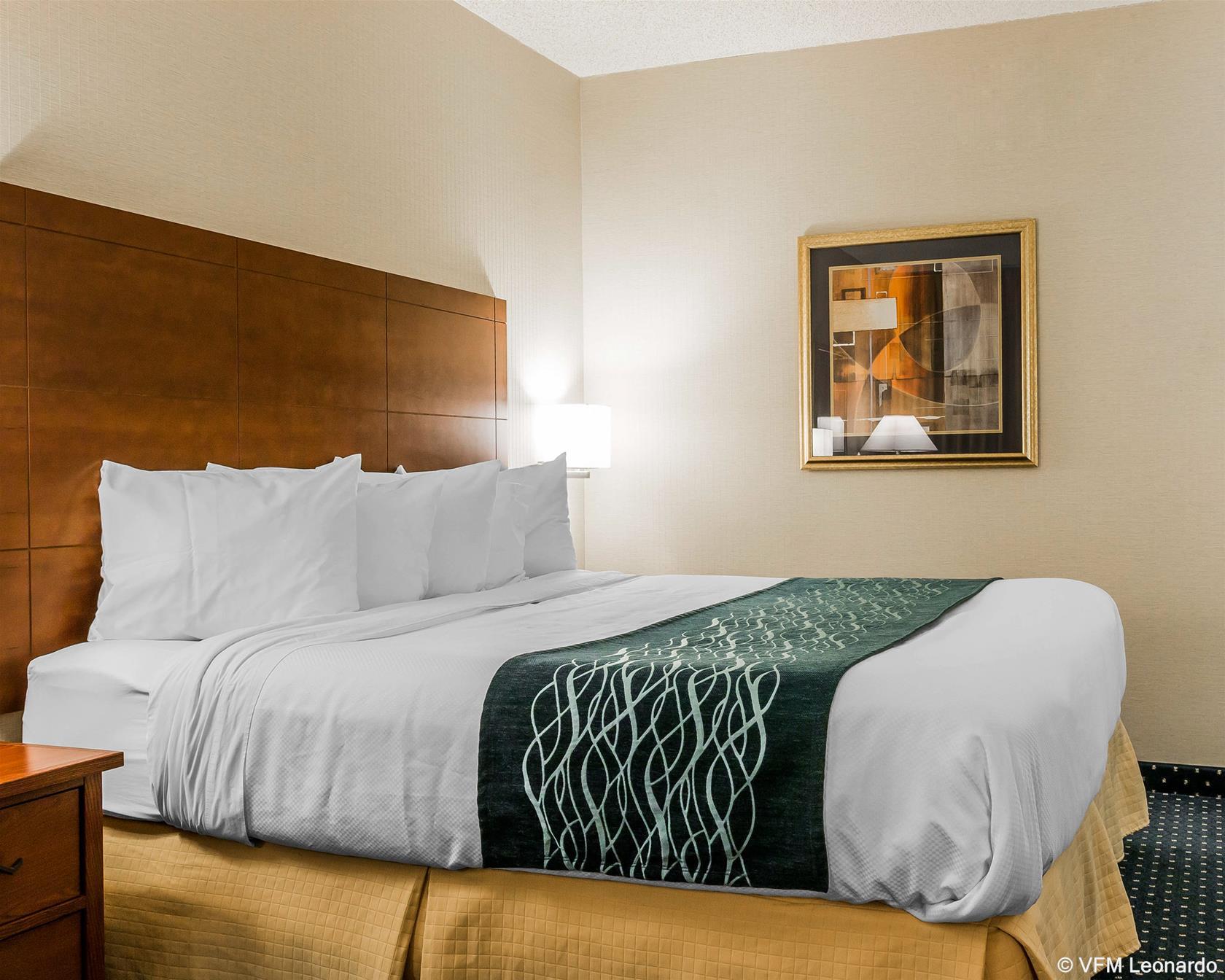 Quality Inn Auburn Hills - Detroit North Esterno foto